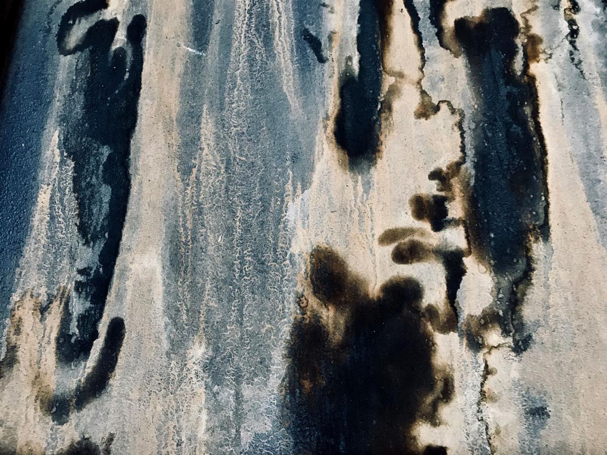 Mold spotting on a painted wall