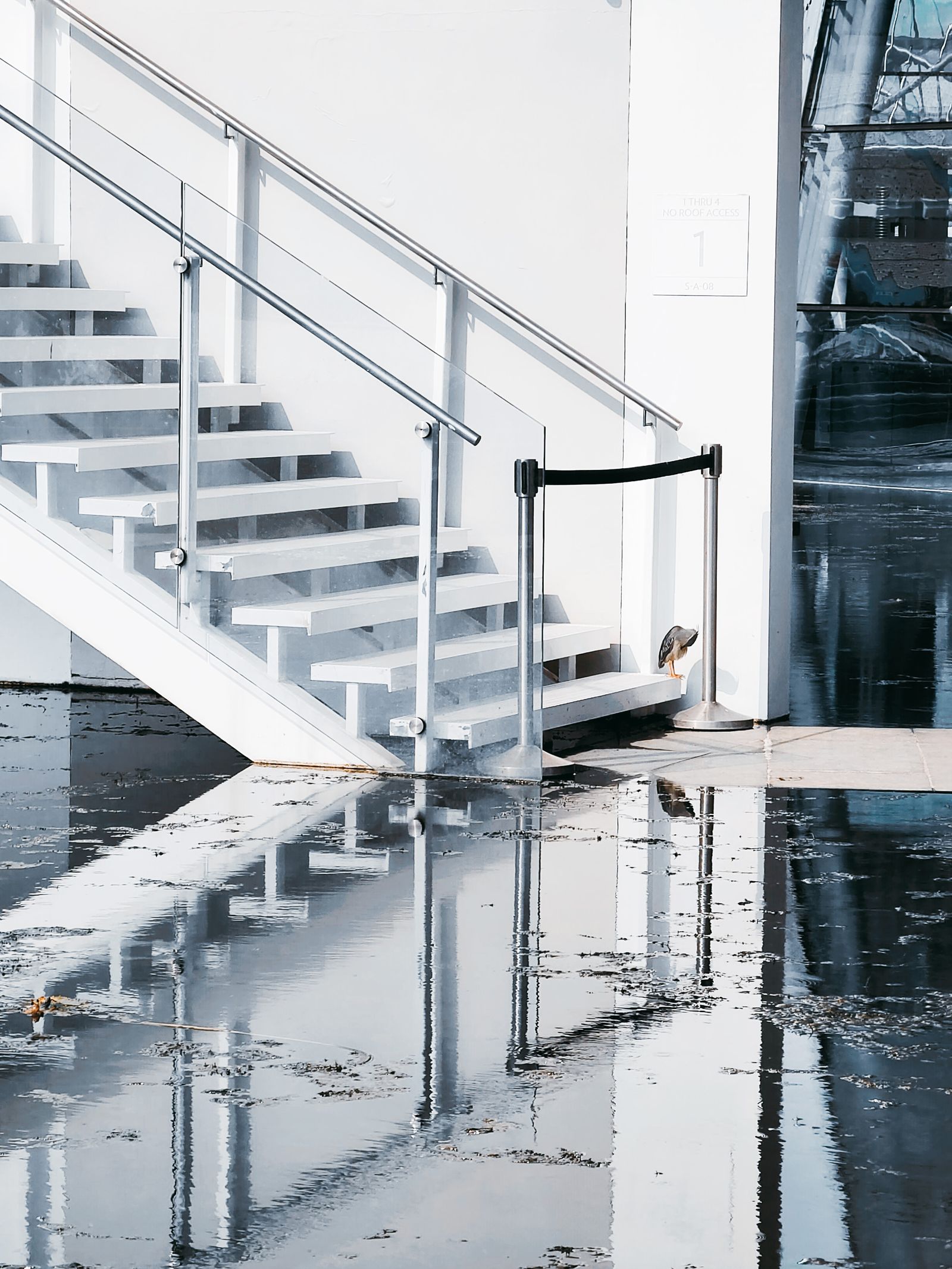 Flooded room being assessed after water damage